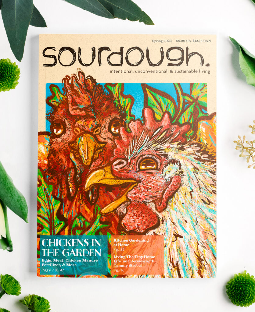 magazone on a white background surrounded by plants. The magazine reads "SOURDOUGH" and features two illustrated chickens surrounded in vegetable below it. 